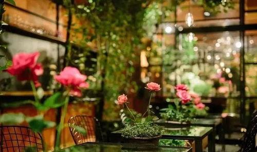 娱乐吃瓜酱花店,吃瓜酱花店背后的秘密花园