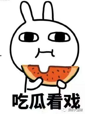 娱乐吃瓜君 刘二豆,娱乐吃瓜界的风云人物